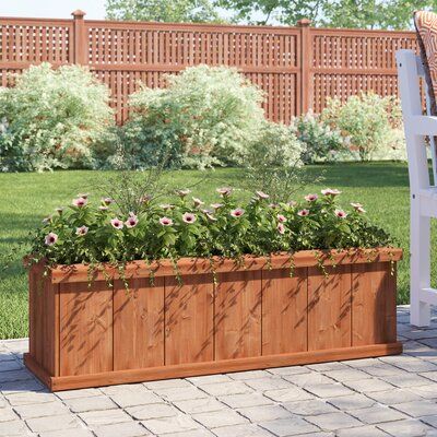 Sol 72 Outdoor™ Brighten up the look of your front porch or lend that finishing touch to a backyard display with this planter! Crafted from cedar, it’s coated in a water-based stain to help preserve its natural wood grain detailing and bolster its defences against inclement weather, so it's suited for year-round use. Drainage holes help keep your selection of plants happy and planked detailing on the sides adds a rustic touch to this porch side essential. Outdoor Raised Garden Beds, Outdoor Planter Boxes, Cedar Planter Box, Plastic Planter Boxes, Cedar Planters, Fiberglass Planters, Barrel Planter, Wood Planter, Wood Planter Box