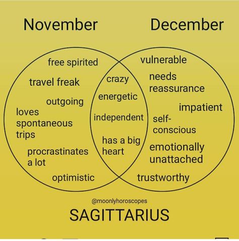 Its Sagittarius Season, November Vs December Sagittarius, Sagittarius And Capricorn Relationship, Sagittarius Girl Aesthetic, Sagittarius Quotes Facts, Sagittarius Queen, Sagittarius Aesthetic, Funny Astrology, Sagittarius Archer