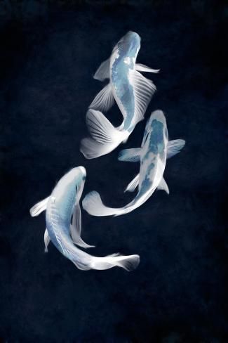 size: 18x12in Art Print: Koi II by Tina Blakely : Natural Forms Painting, Irene Wallpaper, Sea Life Wallpaper, Ocean Room Decor, Ink Splatter, Asian Painting, Movie Poster Wall, Blue Poster, Kpop Drawings