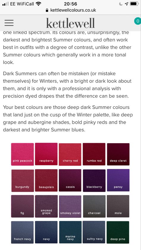 Dark Summer Palette, Dark Summer Makeup, Deep Summer Color Palette, Dark Summer Color Palette, Color Guru, Hoc Summer, Color Analysis Summer, Shaded Summer, Deep Summer