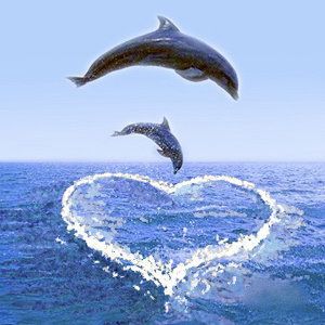 Dolphins love us Dolphin Images, Dolphin Photos, Dolphin Art, Water Animals, Most Beautiful Animals, Horse Life, Wallpapers Backgrounds, Ocean Creatures, Marine Animals