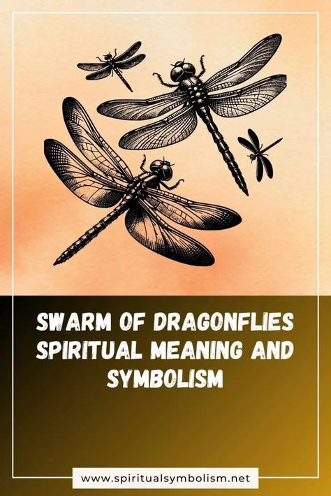 Swarm of Dragonflies Spiritual Meaning and Symbolism | Spiritual Symbolism Dragonfly Significance, Meaning Of Dragonflies, Dragonfly Meaning Spiritual, Dragonfly Meaning, Fly Quotes, Dragon Fly, Spiritual Meaning, Dragonflies, Meant To Be