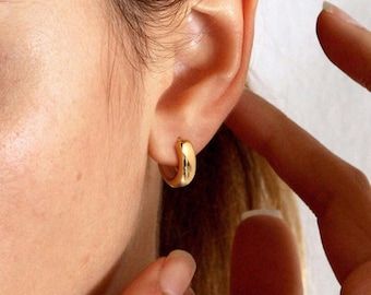 Hoops Earrings Gold, Small Gold Hoop Earrings, Earrings Classic, Chunky Hoop Earrings, Golden Earrings, Hoops Earrings, Pink Jewelry, Trendy Earrings, Huggie Earrings