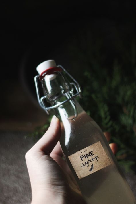 Pine Simple Syrup - The Merrythought Pine Syrup, Syrup Recipes, Creative Diy Projects, Natural Branches, Syrup Recipe, Food Crafts, Sweet Sweet, Simple Syrup, Simple Living