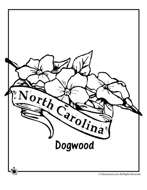 North Carolina State Flower Coloring Page Carolina Tattoo, Teacher Worksheets Lesson Plans, North Carolina Tattoo, Nc Tattoo, Pottery Sgraffito, Nc Map, State Flowers, Tattoo Concepts, Kindergarten Themes