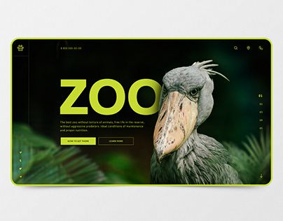 Wildlife Website Design, Zoo Website, Zoo Branding, Zoo Poster, Zoo Park, Dino Park, Brand Presentation, Kiosk Design, Logo Redesign