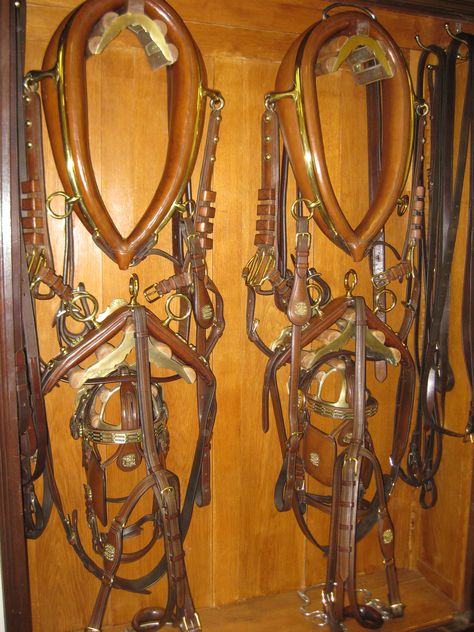 Horse Harness Rack, Horse Harness Storage, Horse Tack Rooms, Tack Rooms, Horse Drawn Wagon, Horse Halter, Horse Harness, Future Farms, Horse Gear