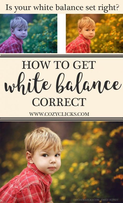 Balance Photography, Beginner Photographer, Photographer Tips, Digital Photography Lessons, Photography Hacks, Camera Tips, Beginner Photo Editing, Photography Help, White Balance