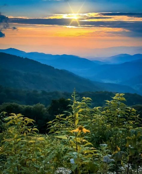 Love the Splendor of the mountains in the Blue Ridge Mountains.. North Carolina Blue Ridge Mountains North Carolina, Mountains North Carolina, Carolina Mountains, North Carolina Mountains, Western North Carolina, Blue Ridge Mountains, Blue Ridge, The Mountain, Art Work