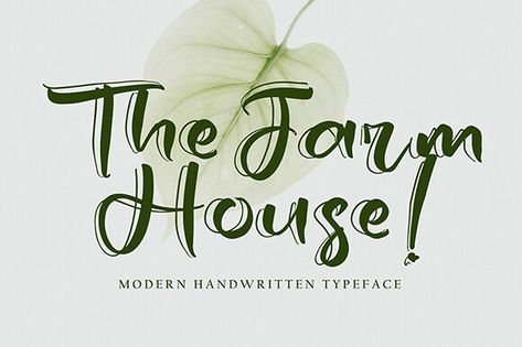 The Farm House is a magical script font carefully created with a touch of elegance.Whether you’re looking for fonts for Instagram or calligraphy scripts for DIY projects, this font will turn any creative idea into a true piece of art! Preview & design using The Farm House font for iOS, Android, macOS, or Windows for […] Get your free download of the The Farm House Font now at FreeFontDL - <a rel... Fonts For Instagram, Letter Invitation, Calligraphy Fonts Alphabet, Free Calligraphy Fonts, Calligraphy Script Fonts, Ex Quotes, Modern Calligraphy Fonts, Free Script Fonts, Blog Header