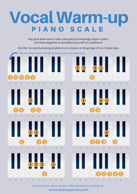 Warm-up your vocal cords at the piano with these easy exercises. Singing & playing helps to build your musical ear, learn more about strengthening your musical ear over at our FREE 5-day ear bootcamp! 5 Days To A Better Musical Ear! #pianopicnic #pianoplaying  #learnpiano #pianotips #pianoadvice #songsbyear #pianobyear #playbyear #pianotip Flute For Beginners, Vocal Lessons Singing, Vocal Exercises Singing Training, Vocal Training Singing Exercise, Vocal Warmups Singing Exercise, Vocal Exercises Singing Tips, Vocal Warmups Singing, Singing Warm Ups, Vocal Warm Ups