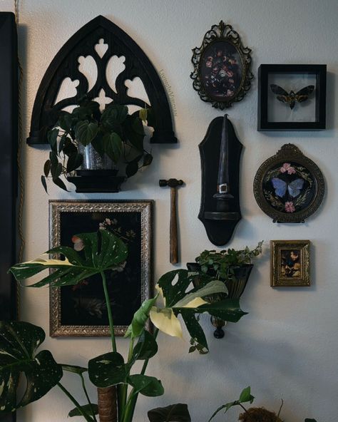 My grandfather made that hammer for my grandmother. I've been using it for years and I've decided to retire it over the weekend. I think it's a good place for it. 🖤 #plantlove #plants #plantsmakepeoplehappy #plantsofinstagram #houseplants #indoorplants #plantaddict #plantlover #plantparent #plantcollection #indoorplants#plantlife #gothic #gothicdecor #gothichome #vintage #vintagedecor #taxidermyy #maximalism #homedecor #decor #entomology #gallerywall Goth Plant Aesthetic, Gothic Wall Decor, Cottagecore Home, Dark Home Decor, Goth Home, Goth Home Decor, Dark Home, Goth Decor, Cute House