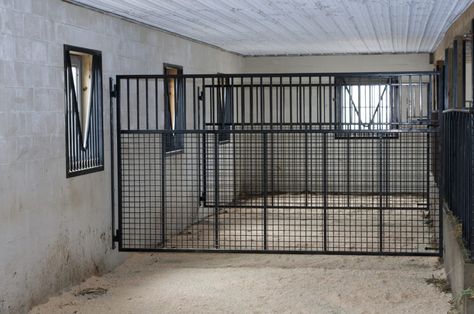 Horse Stalls Doors, Stall Fronts, Stall Door, Horse Stall, Metal Horse, Build Inspiration, Gorgeous Doors, Farm Fence, Farm Ideas