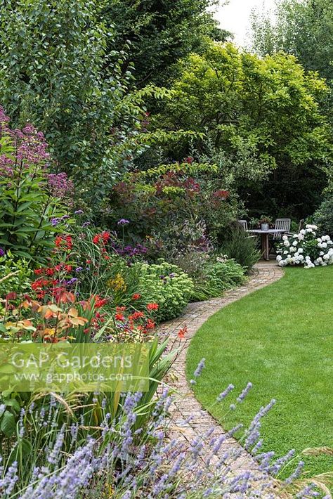 View of brick path beside an herbaceous border and a lawn leading to seating area in the shade of Magnolia and other trees Path Across Lawn, Curved Borders Garden, Garden Path Through Lawn, Brick Path Garden, Herbaceous Border Design, Garden Paths Through Lawn, Path Through Lawn, Small Garden Path, Brick Garden Path