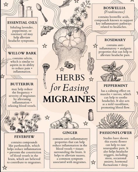 Fred’s Farm | Herbs (@FredDiBiase247) on X Herbs For Headaches, Natural Remedies For Migraines, Migraine Pain, Pain Relief Remedies, Essential Oils For Headaches, How To Relieve Headaches, Family Calendar, Migraine Relief, Tension Headache