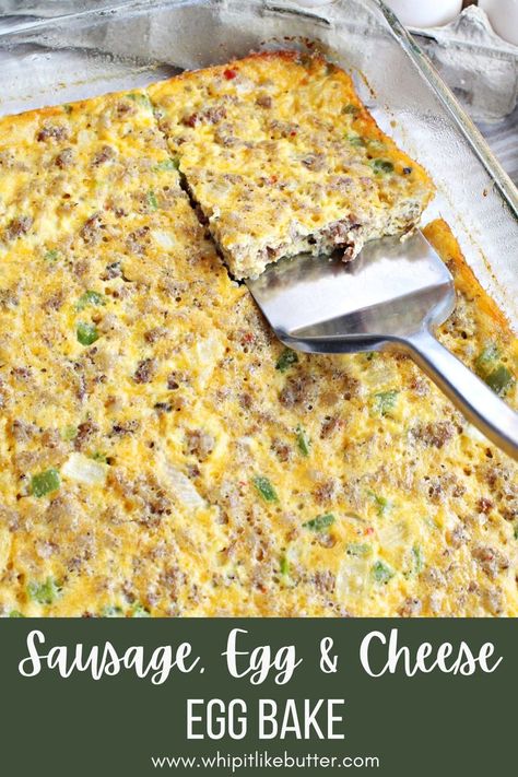 Cheese Egg Bake, Egg And Cheese Casserole, Egg Diet Plan, Egg Bake, Sausage Bake, Egg And Cheese, Egg Diet, Sausage And Egg, Breakfast Recipes Casserole