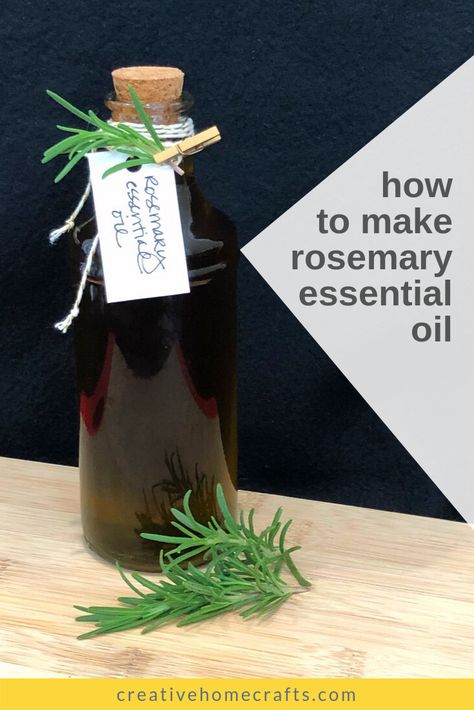 How To Make Rosemary Essential Oil, Rosemary Diy Ideas, Diy Rosemary Essential Oil, Rosemary Gifts, Homemade Rosemary Oil, Rosemary Diy, Make Rosemary Oil, Plants Medicinal, Crunchy Stuff