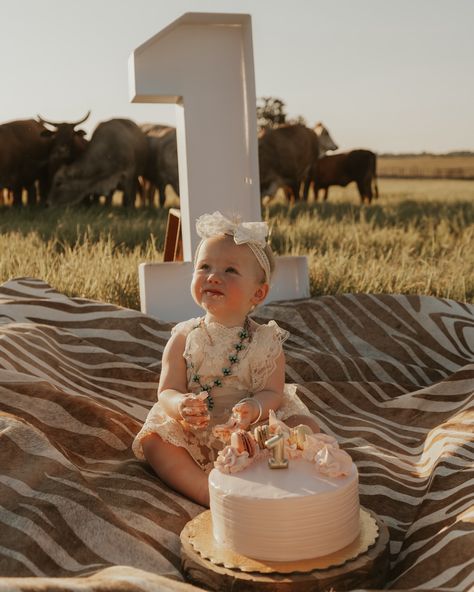 It’s our favorite girls Berry 1st Rodeo!🍓🎀🐴 Posting all of her birthday festivities on my page @jacie.lynn.shackelford!🤎 Can’t wait to show y’all her birthday! . . . Western Style | Western Boutique | Cowgirl Style | Cowgirl Life 1st Bday Photoshoot, Cowgirl First Birthday Party, Cowgirl First Birthday, First Birthday Shoot, Birthday Festivities, 1st Rodeo, Bday Photoshoot, Cowgirl Life, Western Boutique