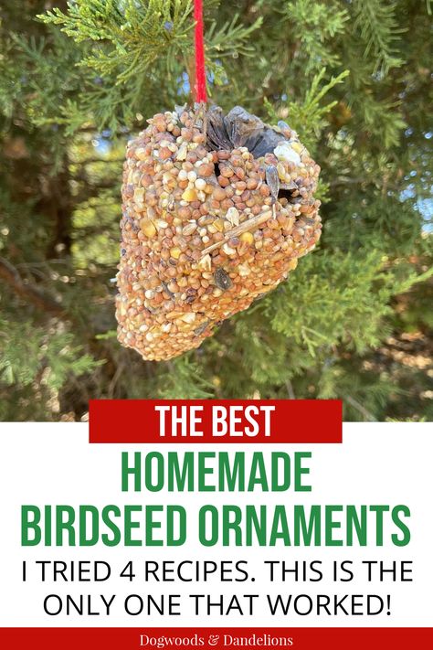 a pinecone birdseed ornament hanging in a cedar tree. Birdseed Ornaments Recipe Easy, Diy Birdseed Ornaments, Bird Seed Crafts, Homemade Birdseed, Bird Seed Ornaments Recipe, Family Christmas Crafts, Birdseed Ornaments, Scented Pinecones, Bird Seed Ornaments