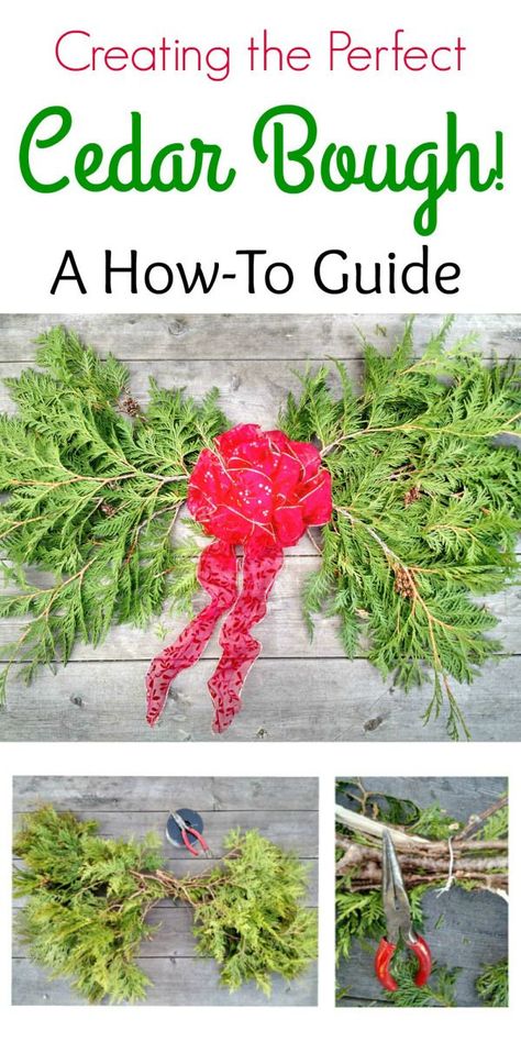 Learn how to easily make these stunning cedar boughs for your home! Diy Christmas Flower Arrangements, Cedar Boughs, Holiday Cleaning, World Of Flowers, Natural Christmas Decor, Christmas Flower Arrangements, Cedar Trees, Christmas School, Christmas Planner