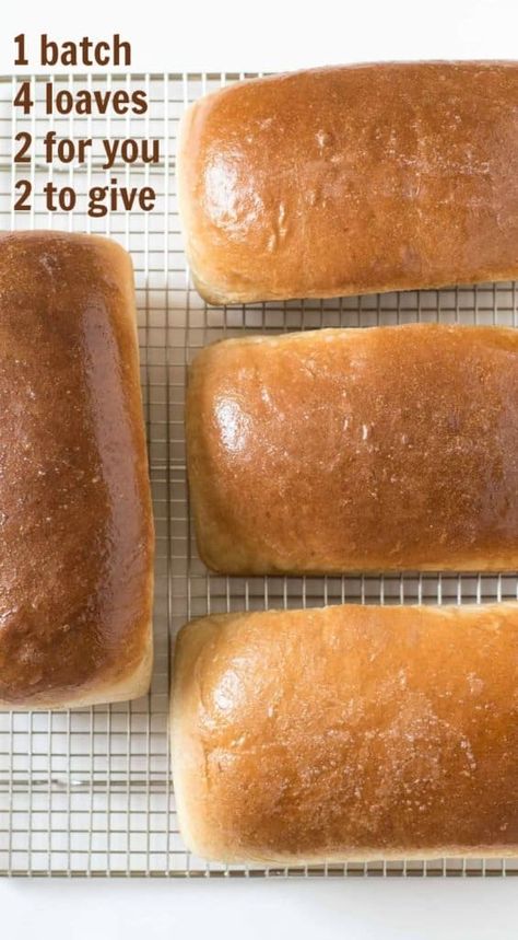 Homemade Wheat Bread, Wheat Bread Recipe, Pembuat Roti, Loaves Of Bread, White Bread Recipe, Homemade Bread Recipes Easy, Sandwich Bread Recipes, Homemade Bread Easy, Best Bread Recipe