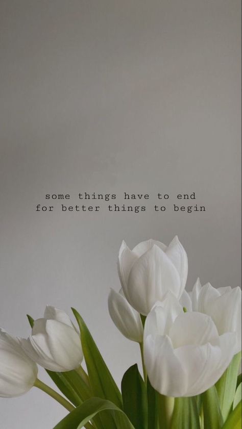 #wallpaper #tulips #quotes Tulips With Quotes Wallpaper, Orange Tulips Aesthetic Wallpaper, Tulips With Quotes, Tulips Quotes Inspiration, Flowers Wallpaper Tulips, Cute Tulips Wallpaper, Wallpaper Tulips Aesthetic, Tulip Wallpaper Aesthetic, White Tulips Wallpaper