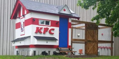 KFC-Inspired Chicken Coops Go Viral | 12 Tomatoes Woodworking Images, Cheap Chicken Coops, Kfc Chicken, Coop Design, Best Chicken Coop, Chicken Coop Designs, Mosaic Bathroom, Coop Plans, Building A Chicken Coop