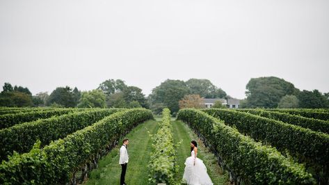 Winery Wedding Ceremony, Wedding Venues Country, Wedding Venues New York, Alfresco Wedding, Hampton New York, Oheka Castle, Hamptons Wedding, Brewery Wedding, Elegant Wedding Venues