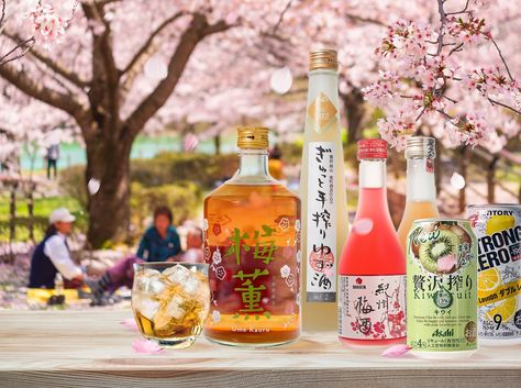 It's cherry blossom season, which means it's time for hanami picnics! No hanami picnic is complete without sake and alcohol. From fruity umeshu plum wine to light and refreshing spritzers, enjoy up to 20% off all alcohol at japancentre.com Online only. Ends Sunday 24 March. #cherryblossom #hanami #hanamipicnic #cherryblossomseason #japancentre #japaneseshop Hanami Picnic, Japanese Shop, Blossom Season, Plum Wine, Cherry Blossom Season, Cherry Blossom, Sake, Plum, Blossom