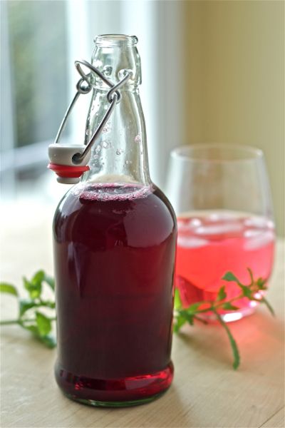 Blueberry Vinegar, Shrub Recipe, Herbal Vinegar, Flavored Vinegars, Infused Vinegars, Drinking Vinegar, Blueberry Bushes, Blueberry Recipes, Infused Oils