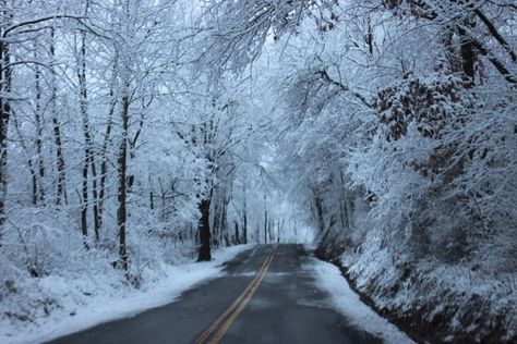 Beautiful Pictures of West Virginia | Winter in West Virginia - beautiful, though it does make the work ... West Virginia Girl, Work Commute, Halloween Beauty, Snow Pictures, Country Roads Take Me Home, Virginia Homes, Winter Wonderland Christmas, Winter Pictures, Vacation Places