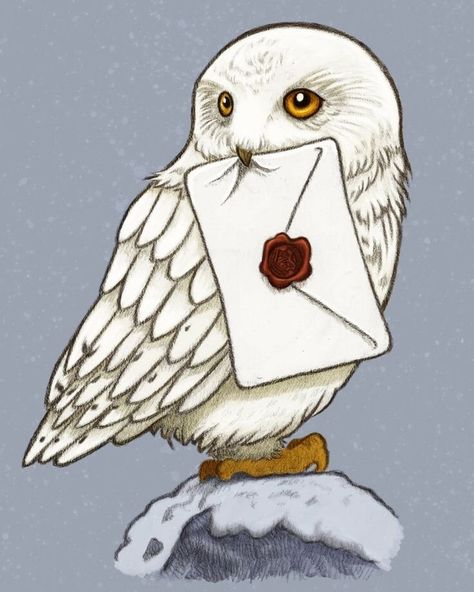 Hedwig Drawing, Drawing Ideas Easy For Teens, Craft For Teens, Craft For Kids Easy, Imprimibles Harry Potter, Easy Crafts For Teens, Harry Potter Owl, Crafts For Teens To Make, Pencil Sketch Drawing