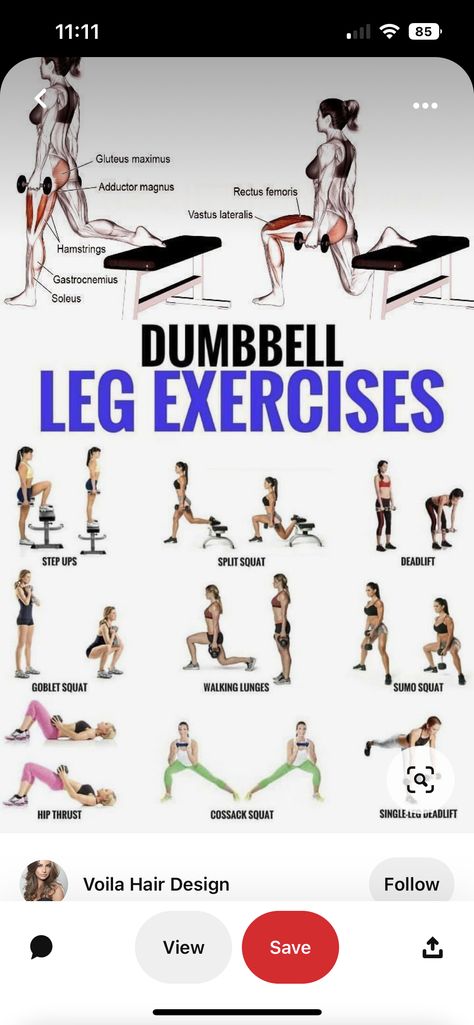 Dumbell Squats, Dumbbell Squat, Leg Workout At Home, Single Leg Deadlift, Dumbell Workout, Goblet Squat, Marathon Training Plan, Sumo Squats, Squat Workout