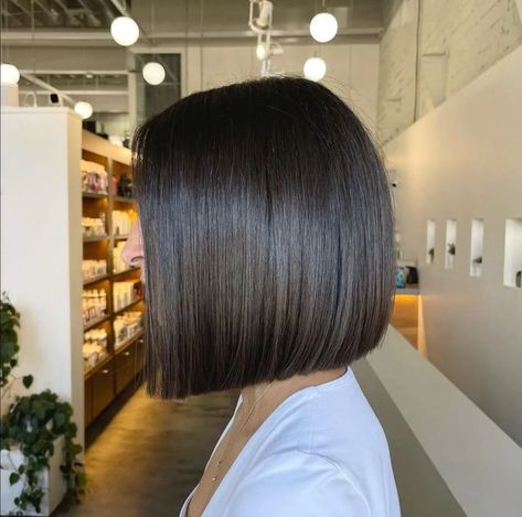 Box Bob Haircut, Lob Bob, Short Bob Cut, One Length Haircuts, Short Layered Bob, Short Bob Cuts, Diy Hair Color, At Home Diy, Short Layered