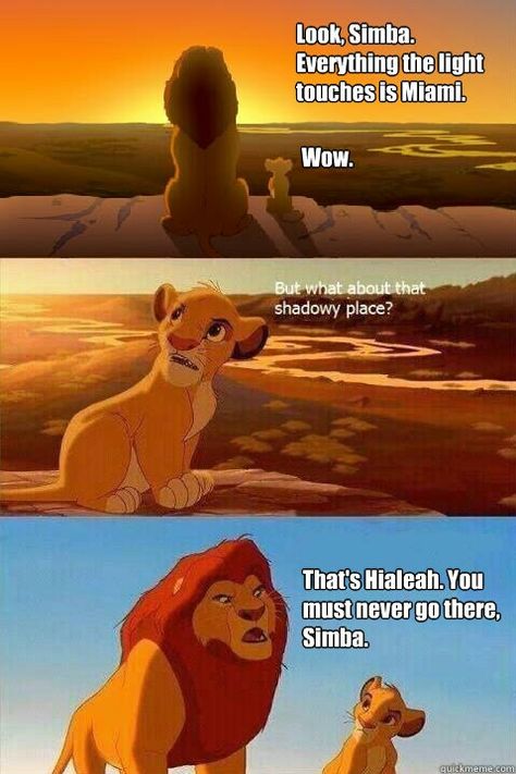 Lion King Hialeah Meme Simba Lion King, Go Gamecocks, The Bigbang Theory, Simba Lion, Band Jokes, Band Nerd, Band Geek, Band Humor, Comic Manga