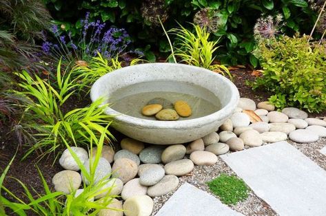 Bird baths are much more than a source of water for drinking and bathing for the birds. They also attract many beneficial insects, such as butterflies, and serve as a wonderful point of interest for your garden. Whether you place them in the backyard or front yard, are homemade or store bought, they are sure to bring delight. These many birdbath ideas incorporate everyday materials to showcase something that is perfect for your space. #best #birdbath #ideas #landscaping Modern Bird Baths, Stone Bird Baths, Bird Bath Bowl, Concrete Bird Bath, Diy Bird Bath, Bird Bath Garden, Rock Garden Landscaping, Perennial Garden, Rock Garden