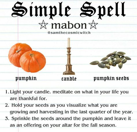 Mabon Party, Fall Witchcraft, Alban Elfed, Happy Mabon, Witch Holidays, Spell Chants, Witches Wheel, Shadow Magic, Apple Pomegranate