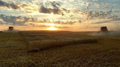 Harvest Prayer, Prayer For Safety, Farm Wife, Say A Prayer, Harvest Recipes, Farmer Wife, Harvest Season, Seasons Of Life, Perfect Timing