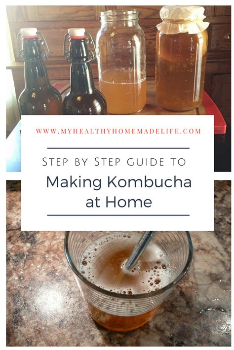 How to Make Kombucha Tea at Home - My Healthy Homemade Life Ginger Kombucha Recipe, Ginger Kombucha, Best Kombucha, Make Your Own Kombucha, Make Kombucha, Kombucha Starter, Kombucha Benefits, How To Brew Kombucha, Kombucha Recipe