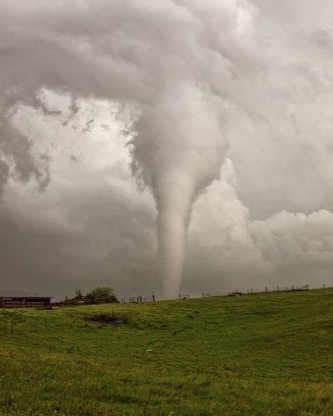 Tornado Pictures, Water Spouts, Storm Pictures, Cotton Tree, Weather Cloud, Weather Storm, Storm Chasing, Wild Weather, Three Rivers