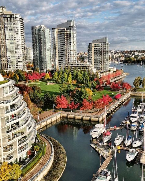 VANCOUVER 🇨🇦 on Instagram: “The colours of our city! 🧡💚⁠ Photo: @calledesign” Vancouver Canada Aesthetic, Vancouver Aesthetic, Canada Aesthetic, Cities Skylines, Vancouver City, Canada Photos, Dream Vacations Destinations, Traveling Abroad, Dream Places