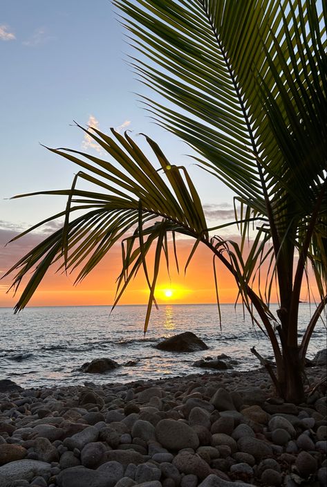 Dominica Aesthetic, Champagne Beach, Friends Aesthetics, Summer Board, Travel America, America Travel, Dominican Republic, Dream Life, Dreaming Of You