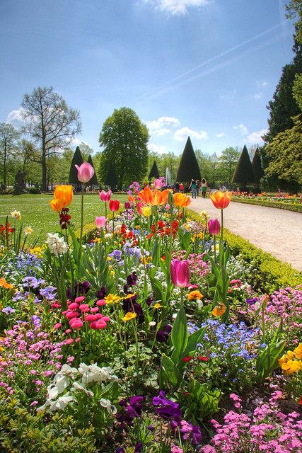 Pretty "garden" Flower Borders, Garden Magic, Arsitektur Masjid, Garden Wallpaper, Patio Kitchen, Have Inspiration, Wildflower Garden, Amsterdam Travel, Garden Care