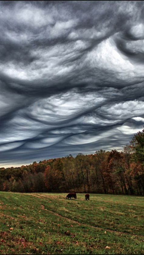 Look at these very eye catching unusual cloud formations. Cloud Phenomena, Rare Clouds, Asperatus Clouds, Undulatus Asperatus, Faithful Man, Cool Clouds, Mammatus Clouds, Cloud Formations, Autumn Weather