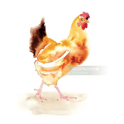 Hen And Chicks, Chicken Art, Chickens And Roosters, Hens And Chicks, Pet Chickens, Sumi E, Watercolor Bird, Watercolor Animals, Childrens Art