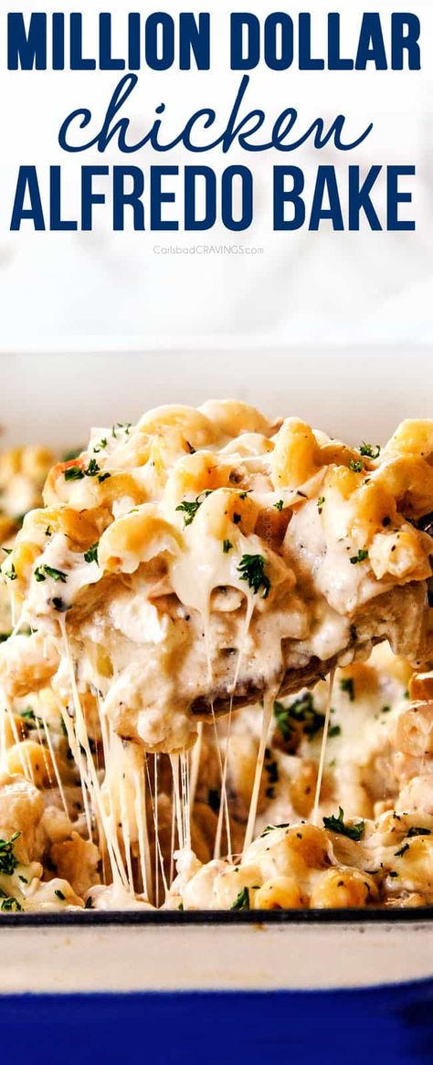 Chicken Alfredo Bake - Carlsbad Cravings Perfect Chicken Alfredo Delish, Dinner Recipes With Alfredo Sauce, Easy Alfredo Dinner Recipes, Recipes Using Canned Alfredo Sauce, Chicken Alfredo Canned Sauce, Premade Alfredo Sauce Recipes, Chicken Alfredo Large Crowd, Alfredo Sauce Uses, Oven Alfredo Pasta