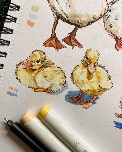 𝑱𝑨𝑪𝑲 (@j.drw) • Fotos y vídeos de Instagram Duckling Drawing, Hatching Drawing, Hatch Drawing, Duck Drawing, Animal Inspiration, Colouring Pencils, Crayon Drawings, Doodle Ideas, Sketchbook Pages