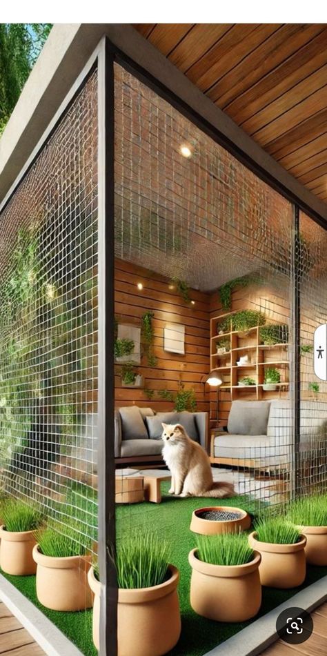 Catio Cats Interior, Cat House Ideas Outdoor, Outdoor Cat Space, Catios Ideas For Cats, Cat Space Ideas, Catio Patio, Cat Patio Enclosure, Accessorizing Tips, Pet Patio