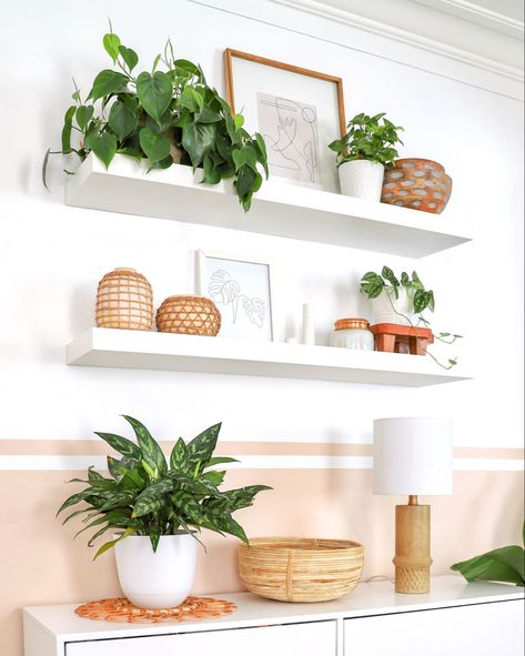 My dining room accent wall Shelf In Dining Room Wall, Dining Room Wall Shelves Decor, Shelf Decor Study Room, Accent Wall Plants, Wall Shelves Dining Room, Wall Shelf Dining Room, Dining Room Shelves Decor, Dining Room Wall Shelves, Shelf Dining Room