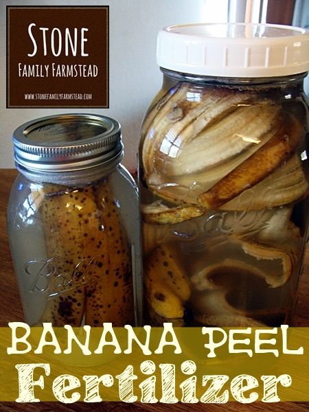 Banana Peel Fertilizer - Stone Family Farmstead Entryway Landscaping, Boulders Landscaping, Banana Peels, Garden Hacks, Natural Fertilizer, Garden Compost, Banana Peel, Homestead Survival, Liquid Fertilizer